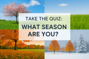 quiz