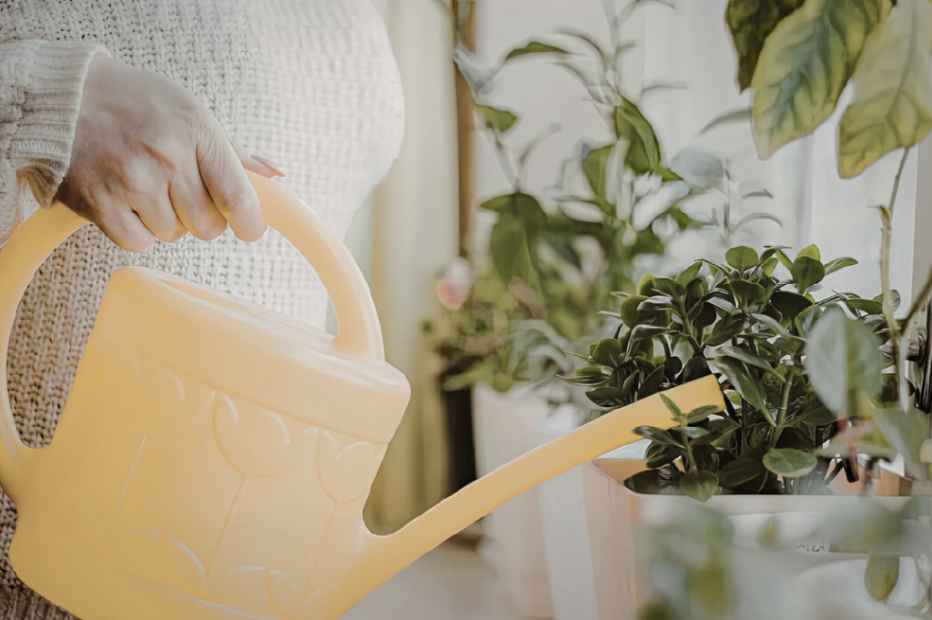 Gardening for Anxiety relief