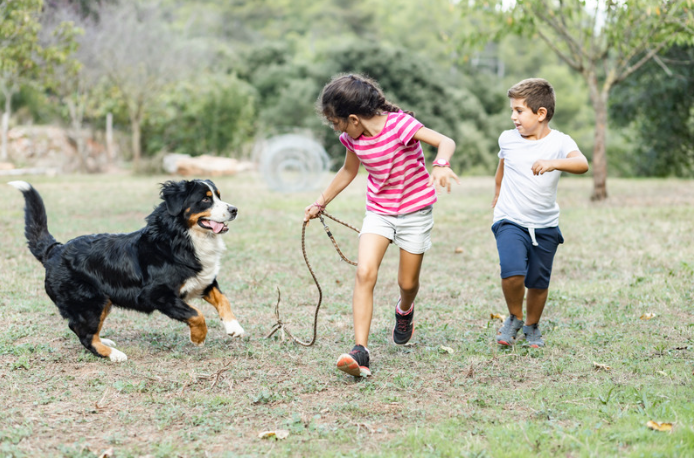 Fear of Dogs (Cynophobia): How CBT Can Help You Feel Safer and More Free